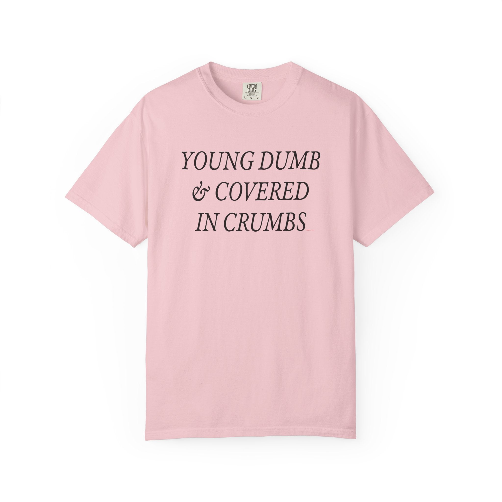 Young Dumb and Covered in Crumbs T-Shirt  - Sarcastic Graphic Tee